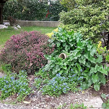 Nono Tilio Bed & Breakfast Talmassons